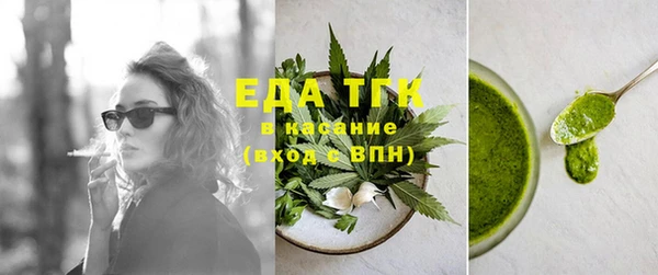 индика Бугульма