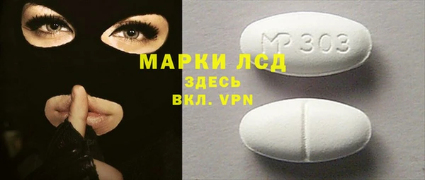 индика Бугульма