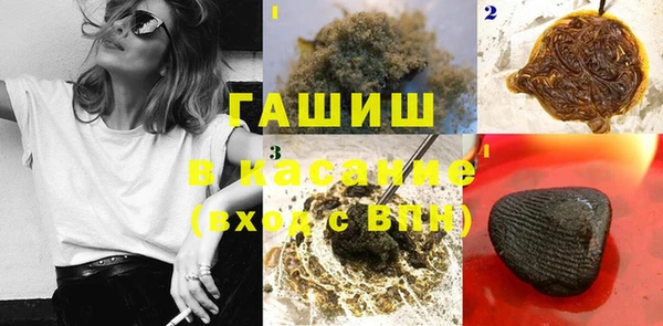 стаф Богородск