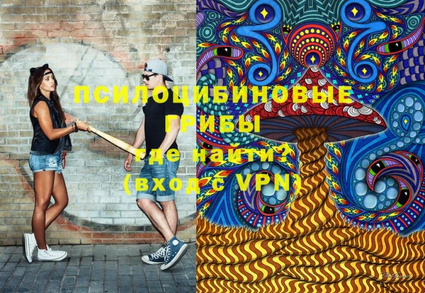 a pvp Богородицк