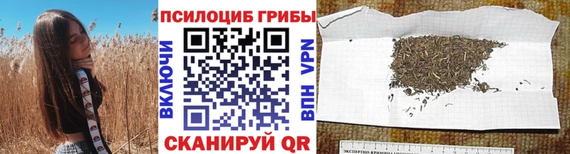 Галлюциногенные грибы Cubensis  где купить наркотик  Нерчинск 